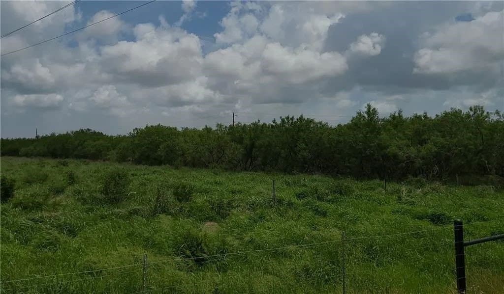 0 acres in Kleberg County - photo 6