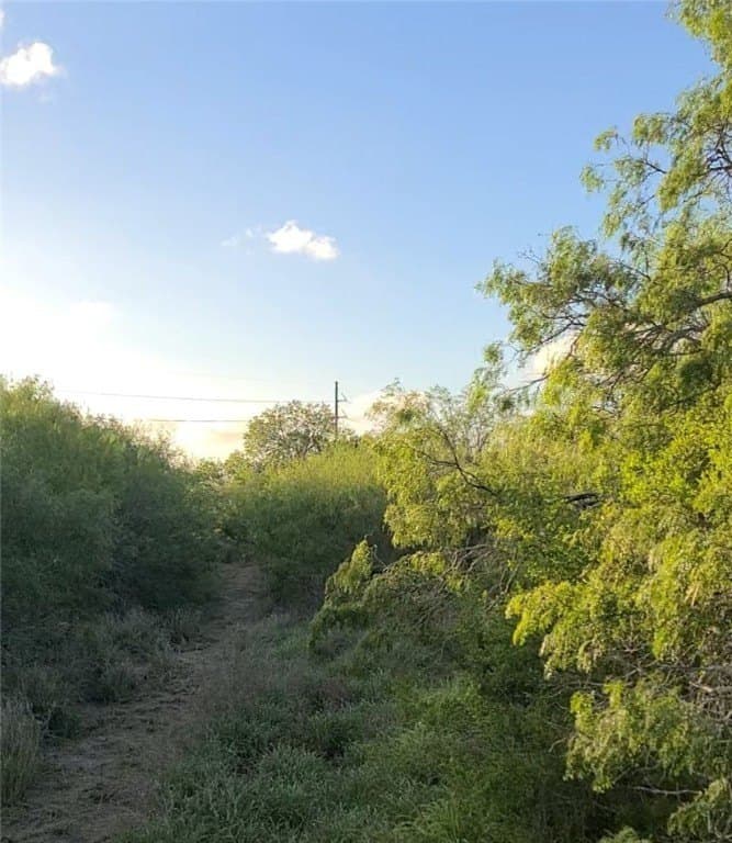 0 acres in Kleberg County - photo 2