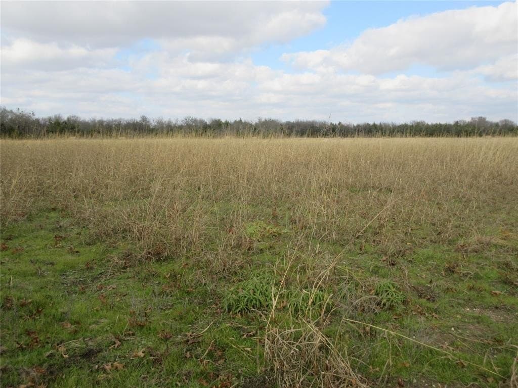 15.5 acres in Fannin County - photo 4