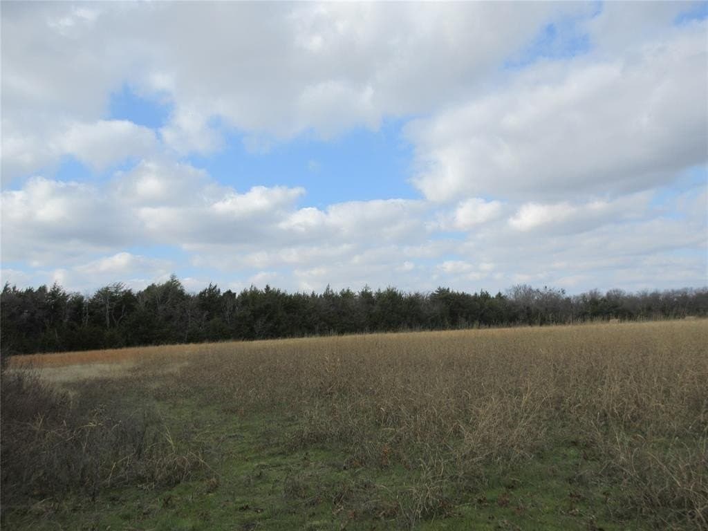 15.5 acres in Fannin County - photo 3