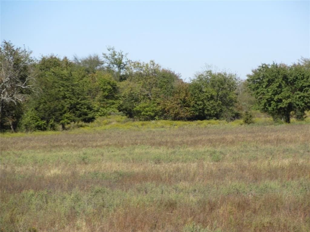 15.5 acres in Fannin County - photo 2