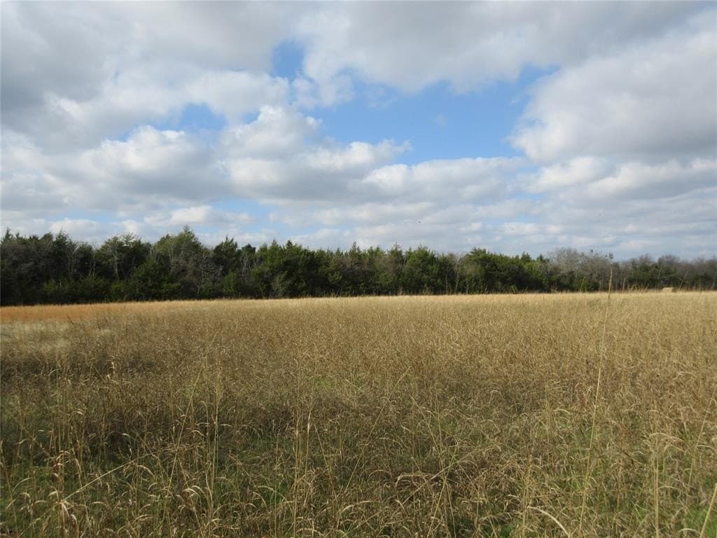 15.5 acres in Fannin County - photo 6