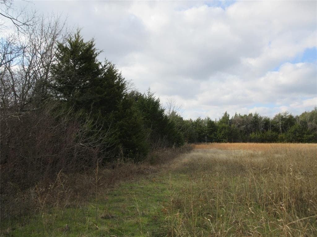 15.5 acres in Fannin County - photo 5