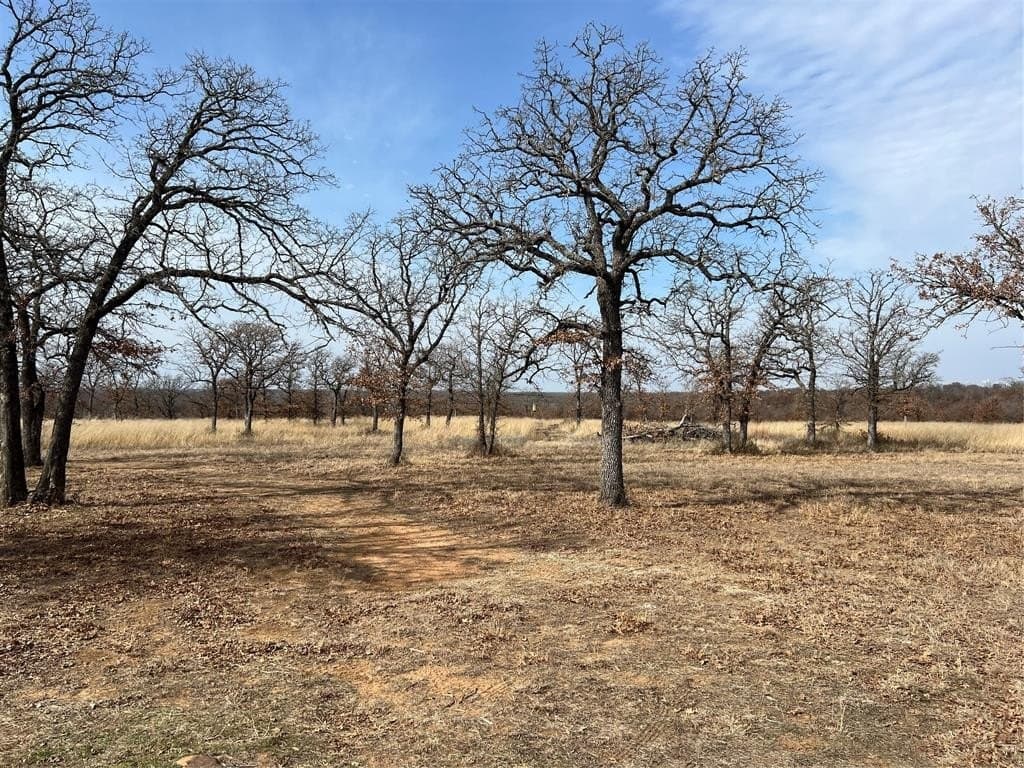 75 acres in Jack County - photo 22