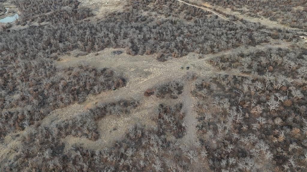 75 acres in Jack County - photo 5
