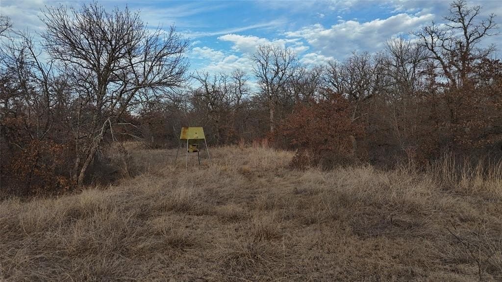 75 acres in Jack County - photo 24
