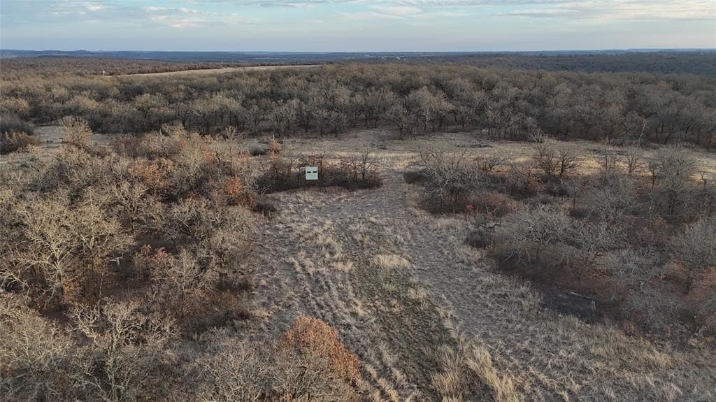 75 acres in Jack County - photo 28