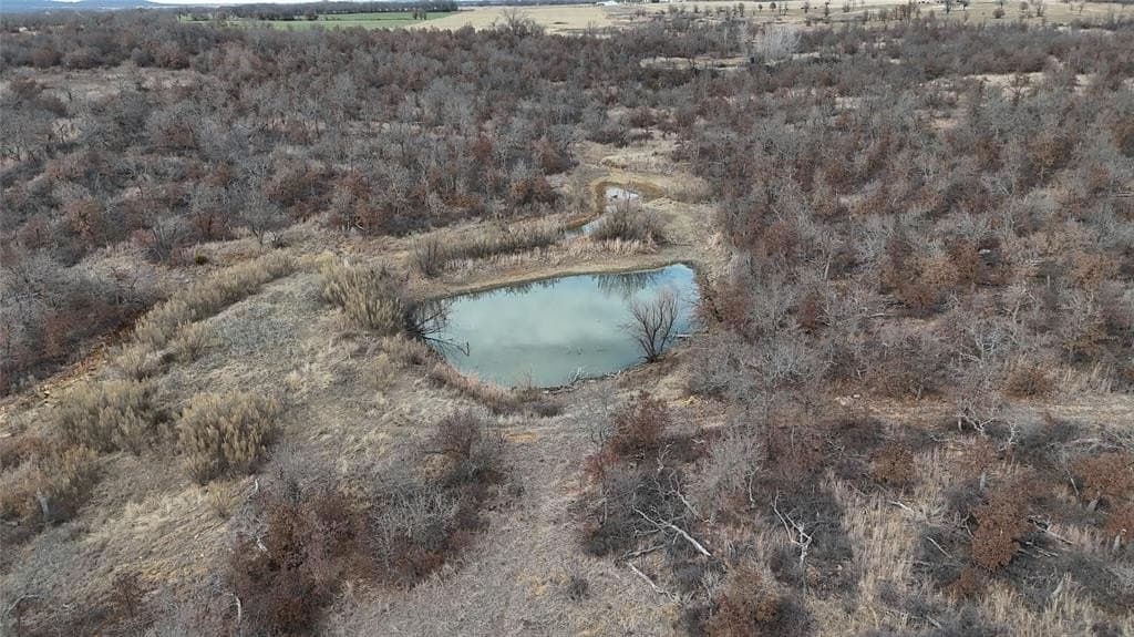 75 acres in Jack County - photo 3