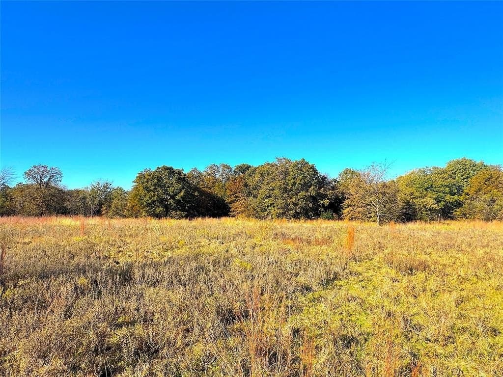 146.4 acres in Jack County - photo 23