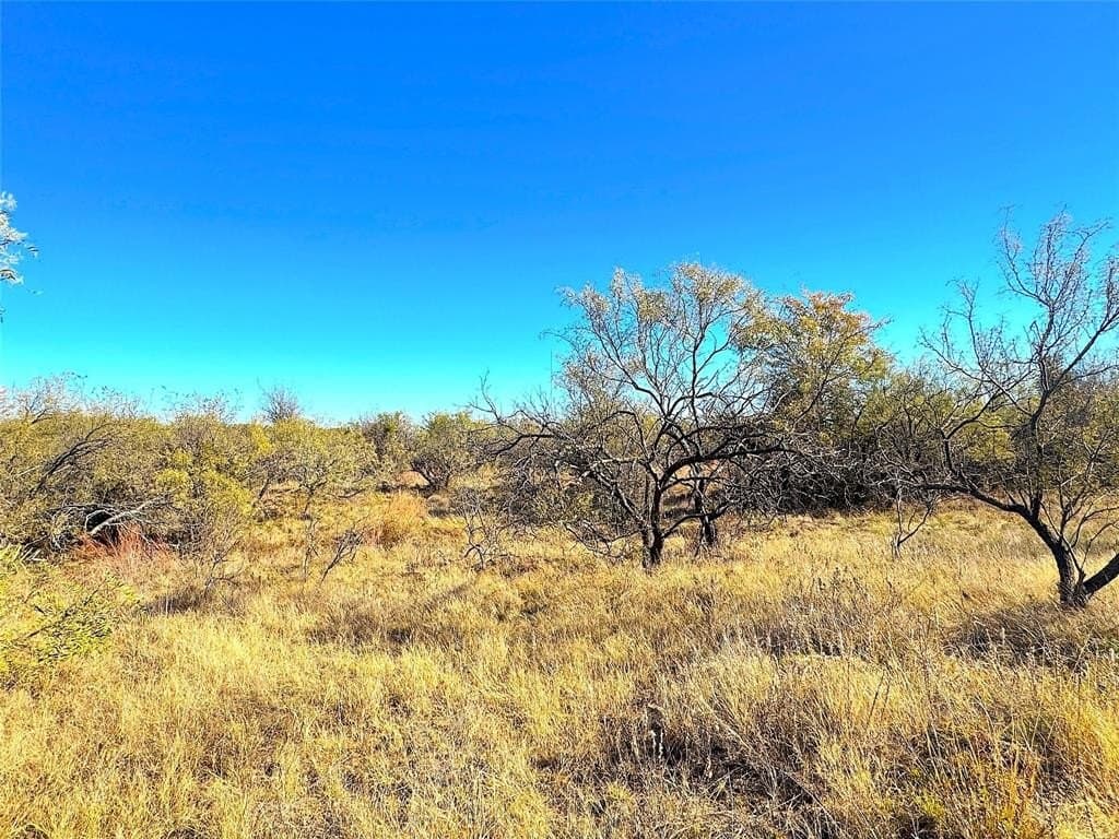 146.4 acres in Jack County - photo 34