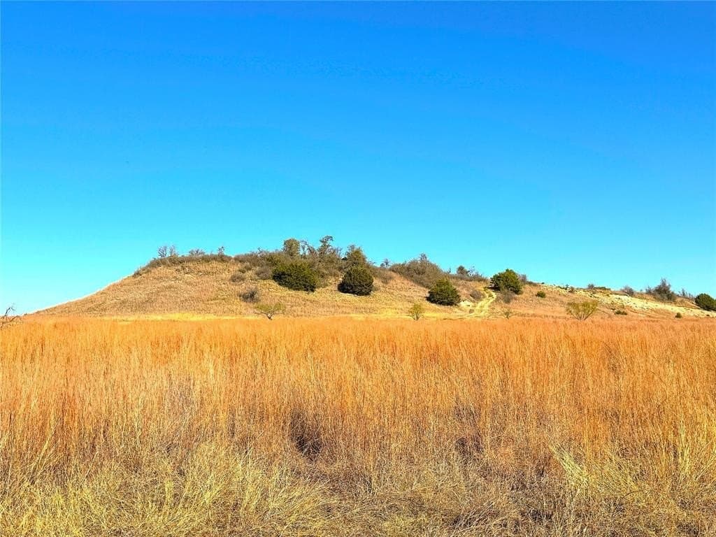 146.4 acres in Jack County - photo 4