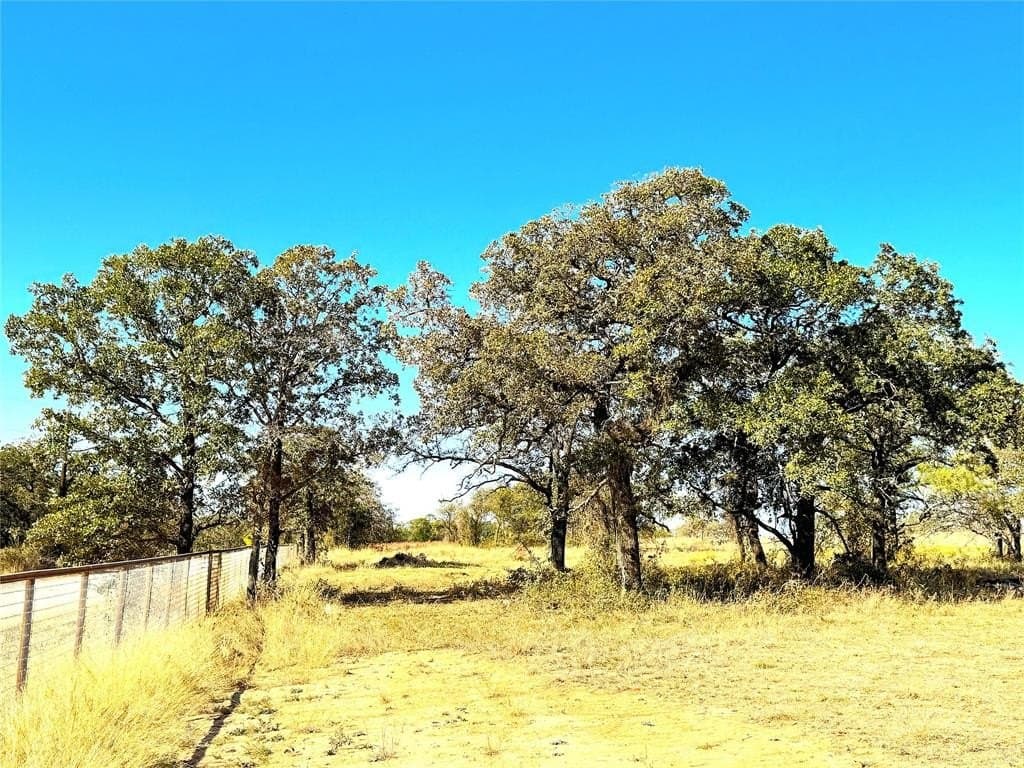 146.4 acres in Jack County - photo 9