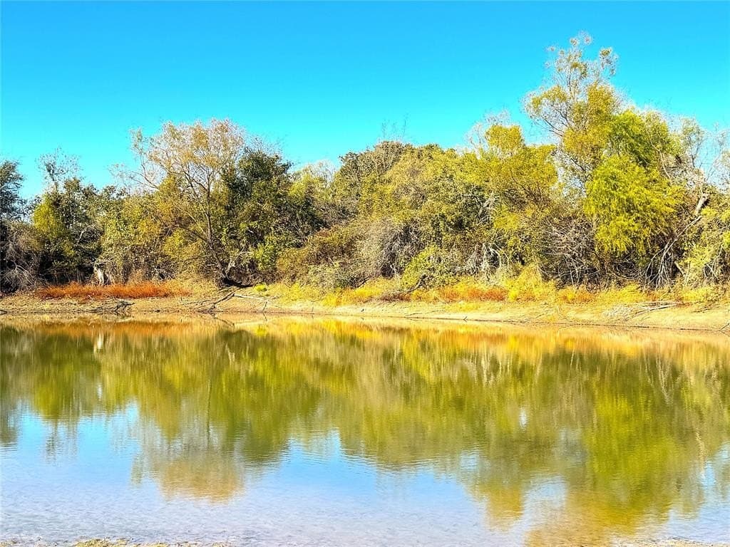 146.4 acres in Jack County - photo 5