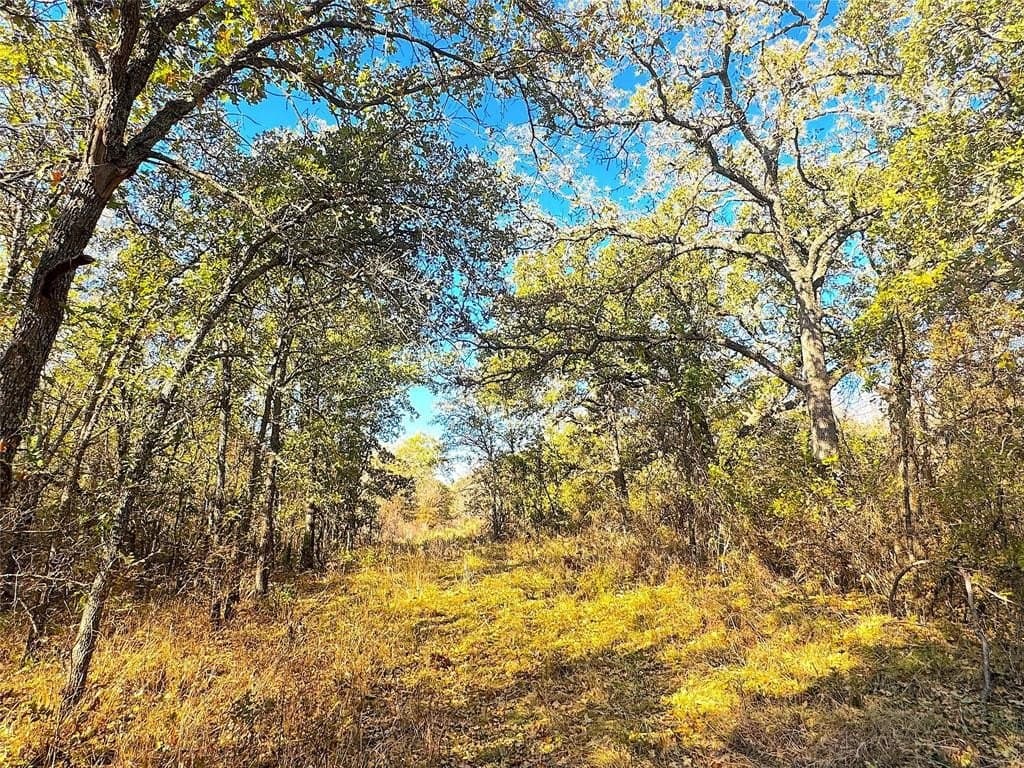 146.4 acres in Jack County - photo 6