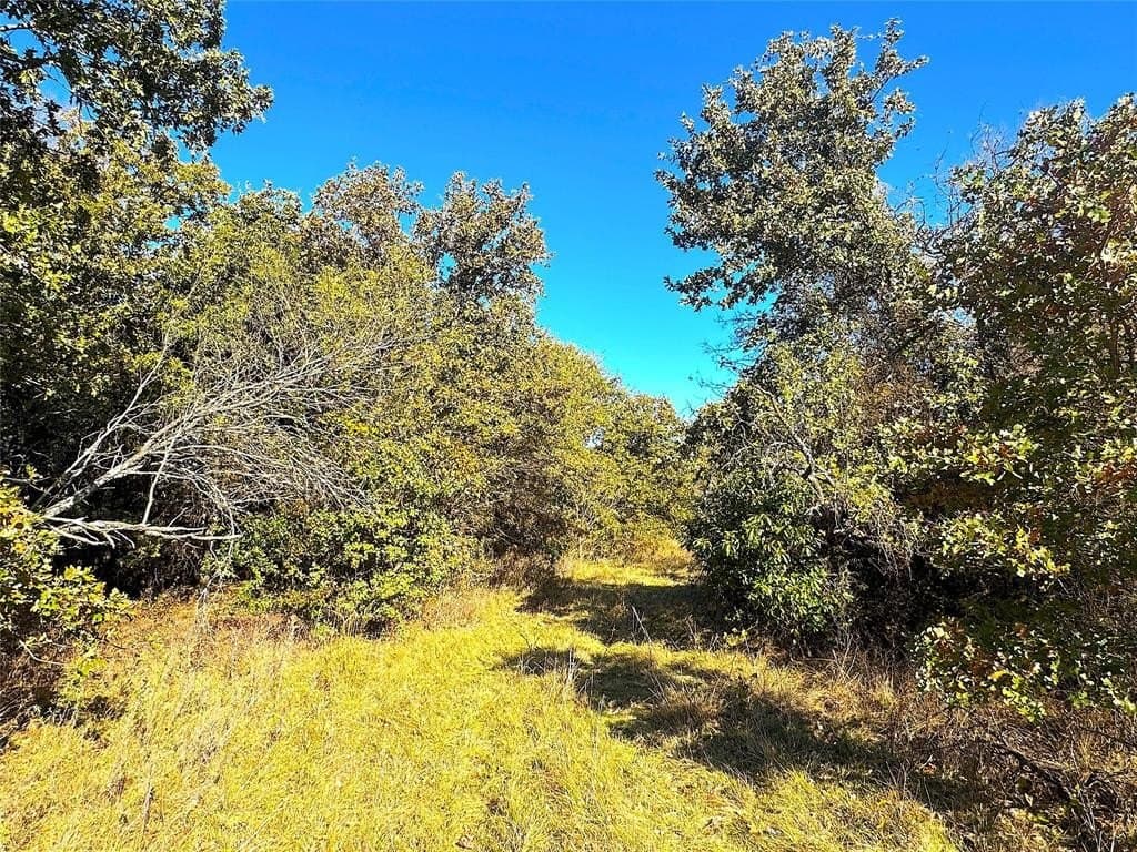 146.4 acres in Jack County - photo 19