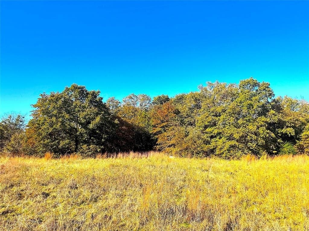 146.4 acres in Jack County - photo 7