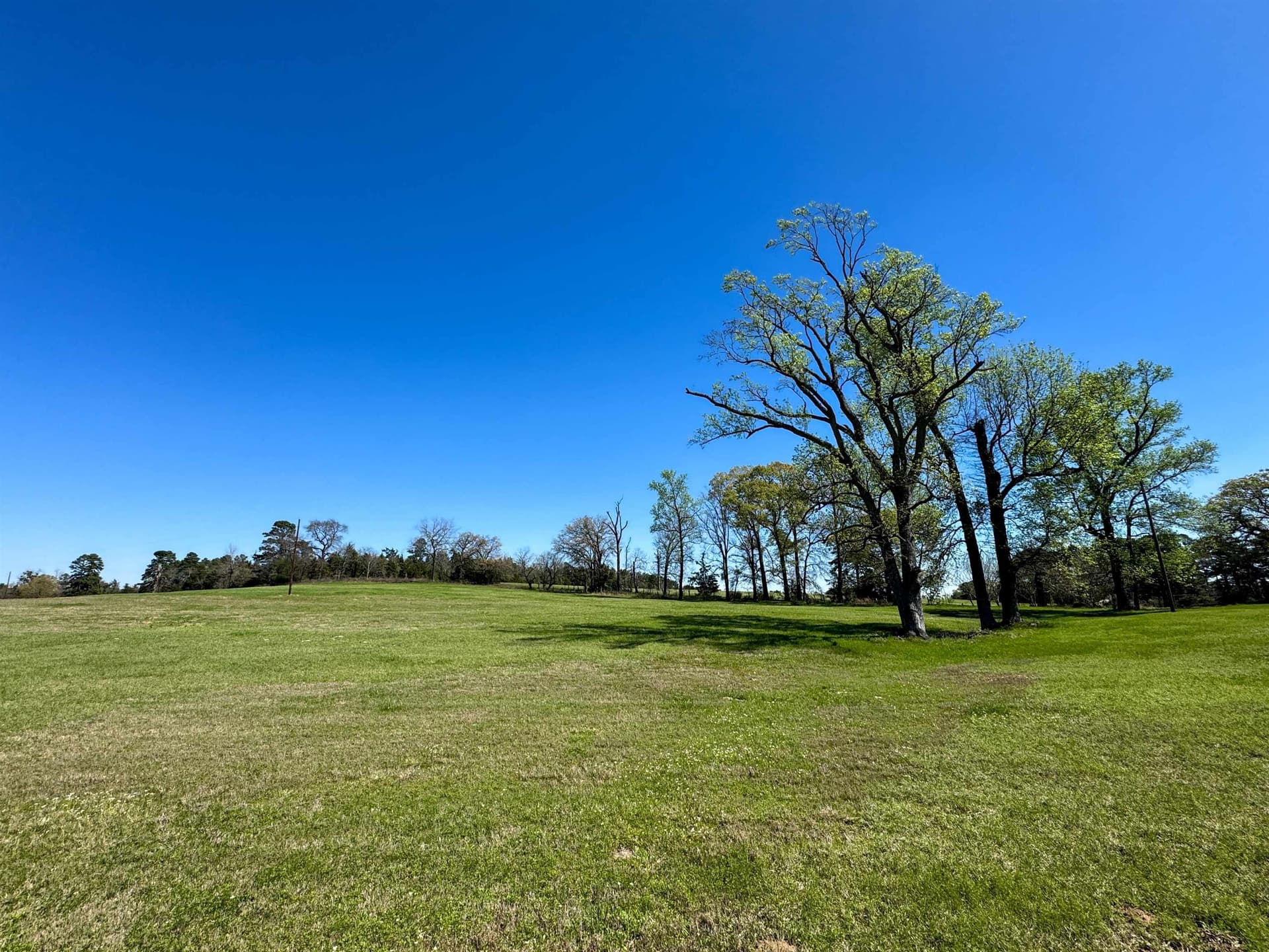 23.43 acres in Cass County - photo 47