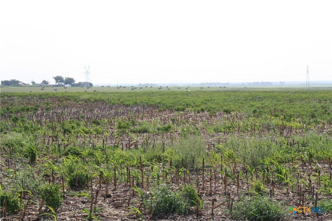 11 acres in Bell County - photo 5