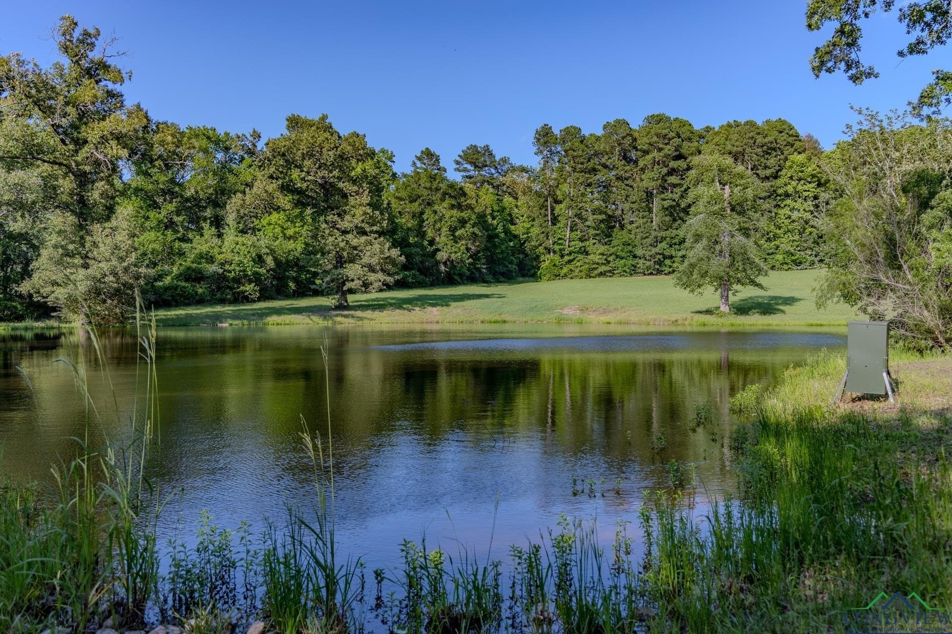 41.93 acres in Upshur County - photo 5