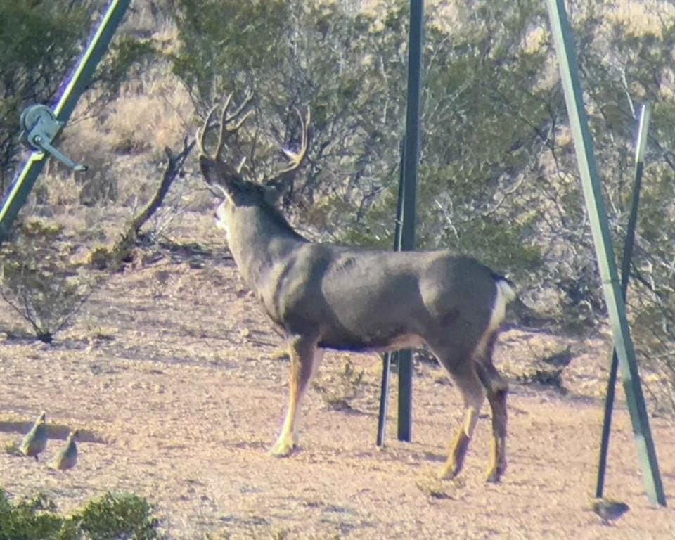 1,887 acres in Pecos County - photo 35