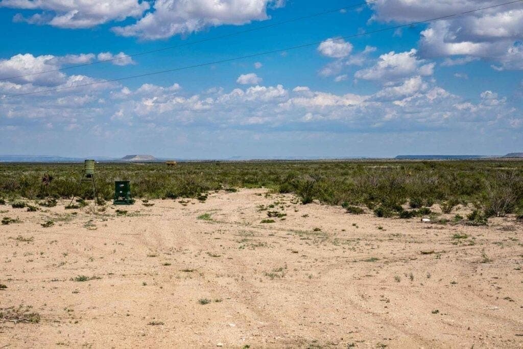 1,887 acres in Pecos County - photo 19