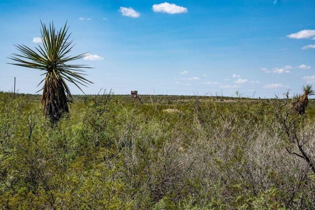 1,887 acres in Pecos County - photo 21