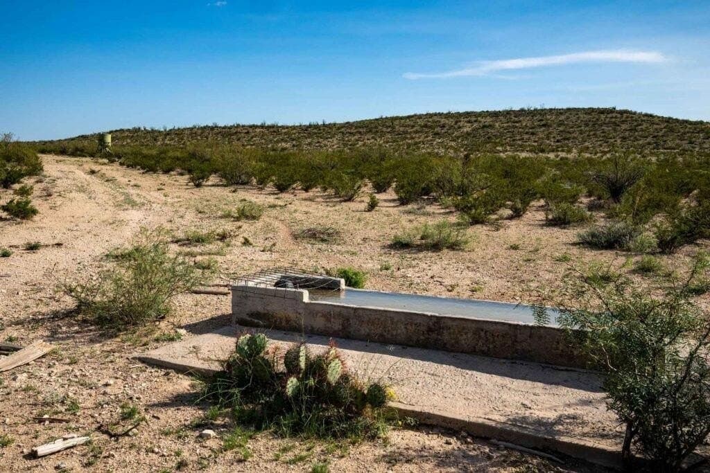 1,887 acres in Pecos County - photo 31