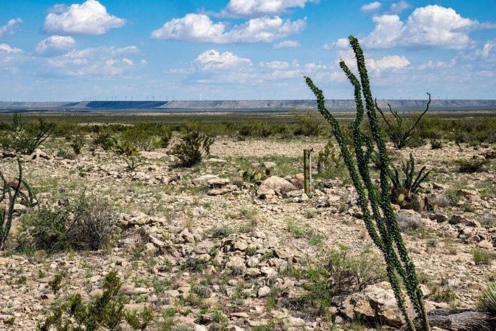 1,887 acres in Pecos County - photo 27