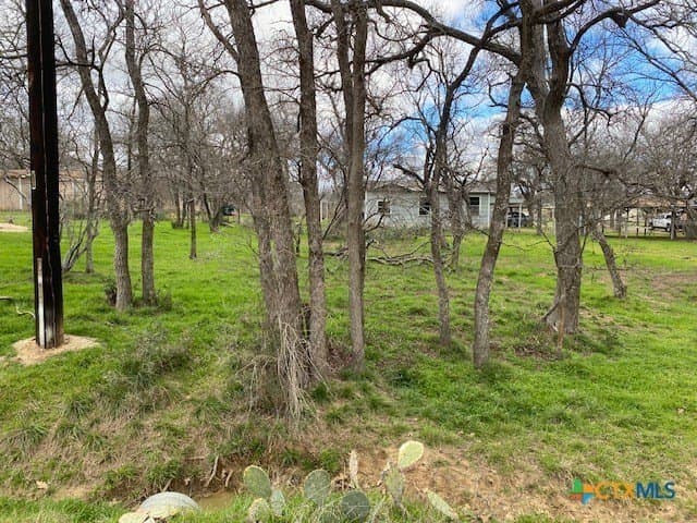 0.45 acres in Burnet County - photo 2