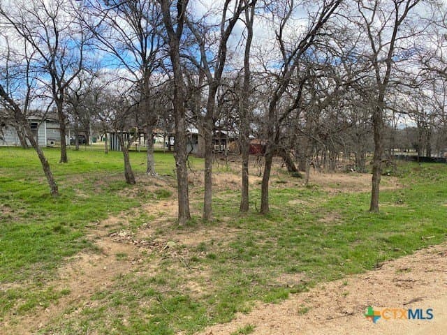 0.45 acres in Burnet County - photo 3