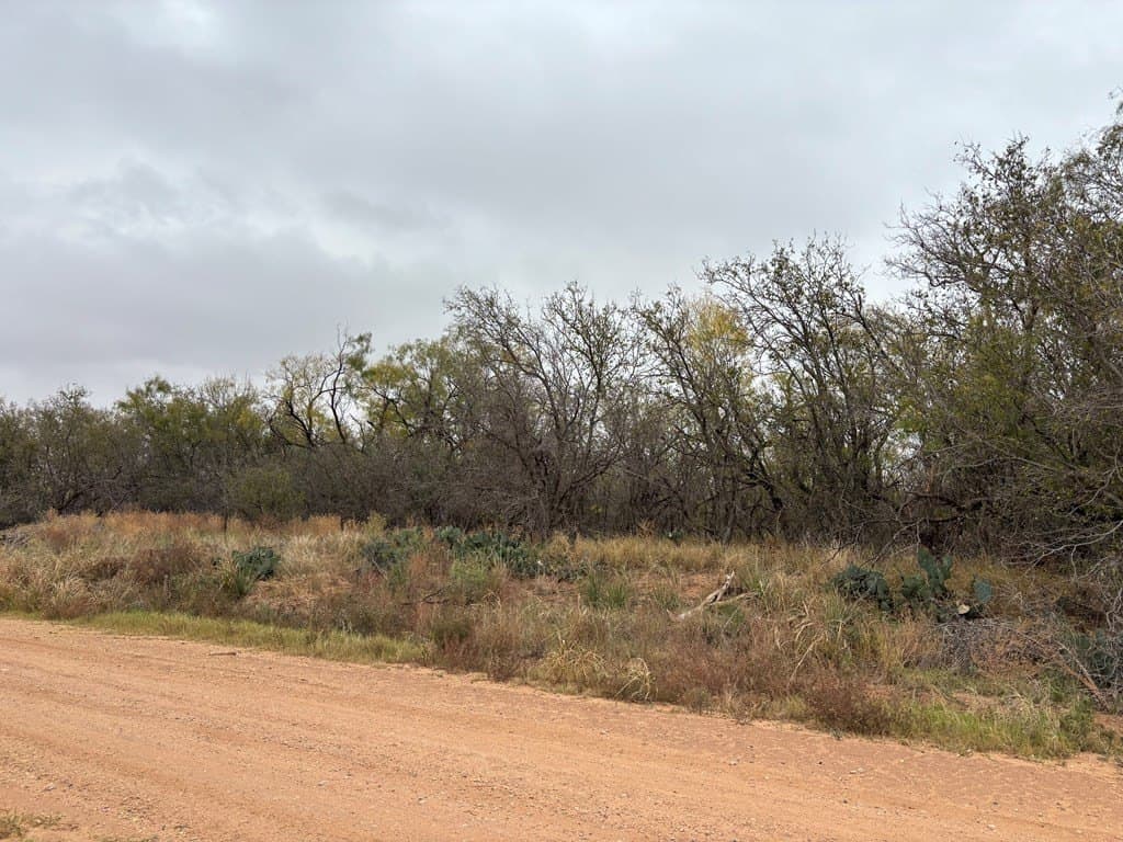 1.29 acres in Mitchell County - photo 4