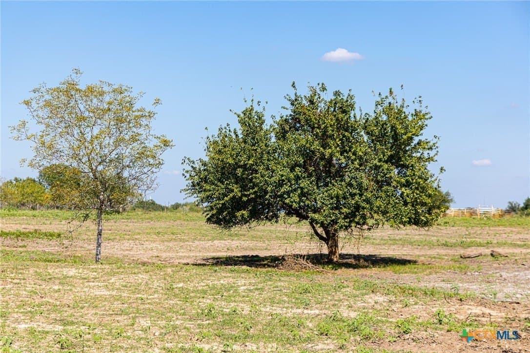 234 CR 430 unit: Tract 6