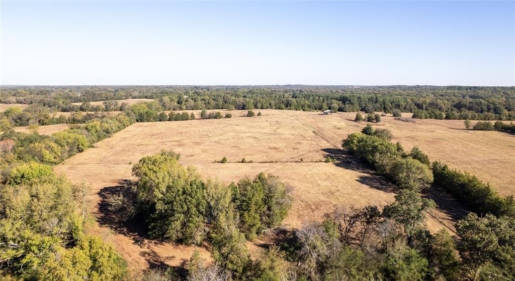 139.98 acres in Titus County - photo 18
