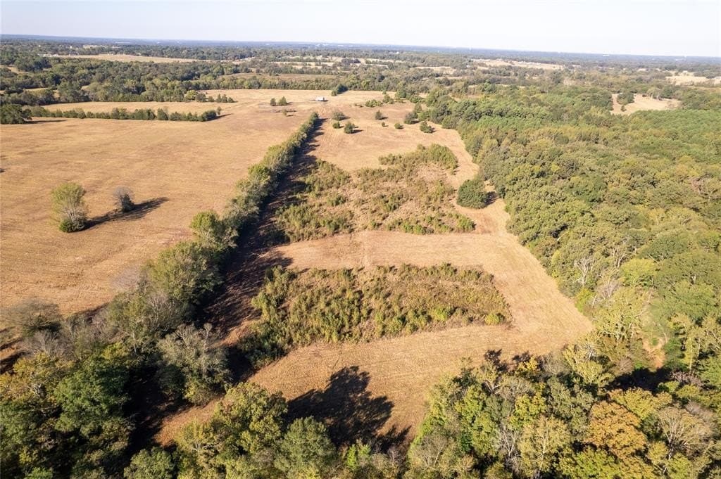 139.98 acres in Titus County - photo 4