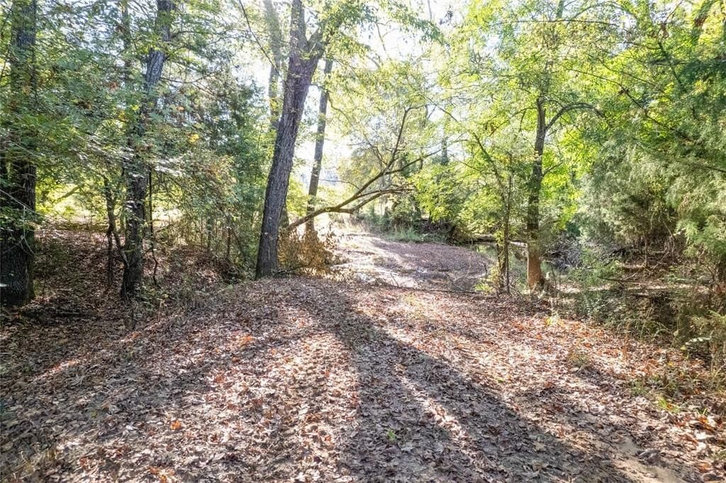 139.98 acres in Titus County - photo 24