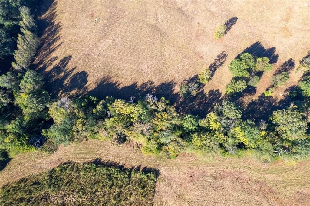 139.98 acres in Titus County - photo 23