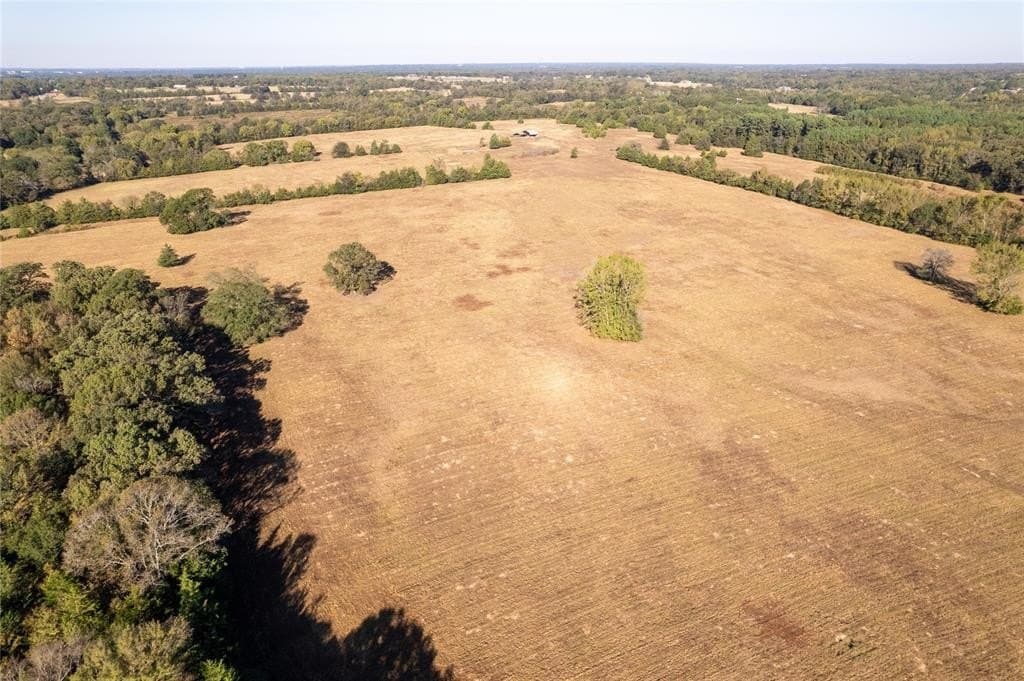 139.98 acres in Titus County - photo 5
