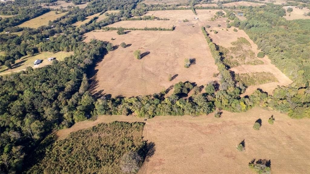 139.98 acres in Titus County - photo 22