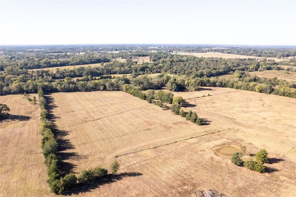 139.98 acres in Titus County - photo 12