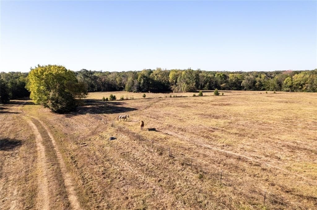139.98 acres in Titus County - photo 14
