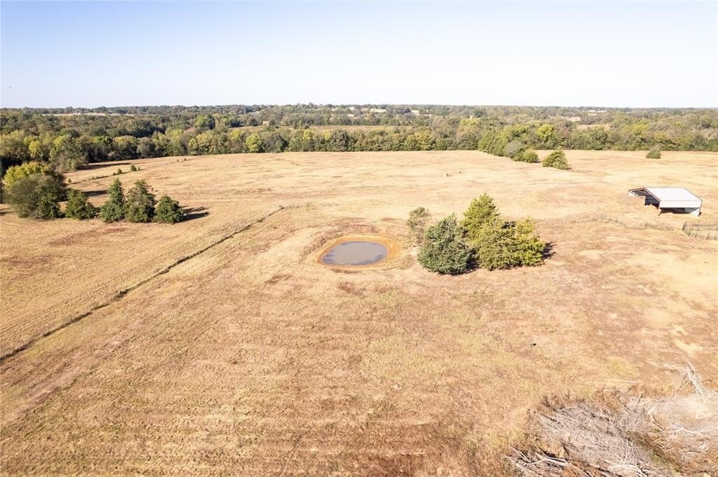 139.98 acres in Titus County - photo 13