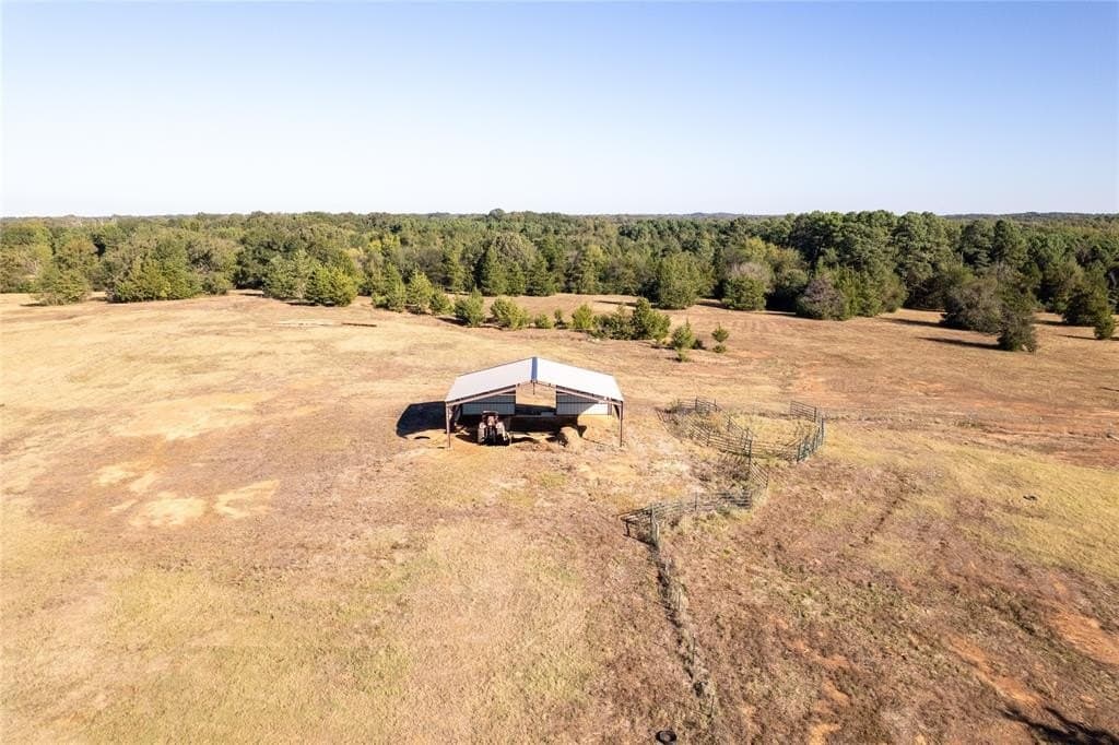 139.98 acres in Titus County - photo 9