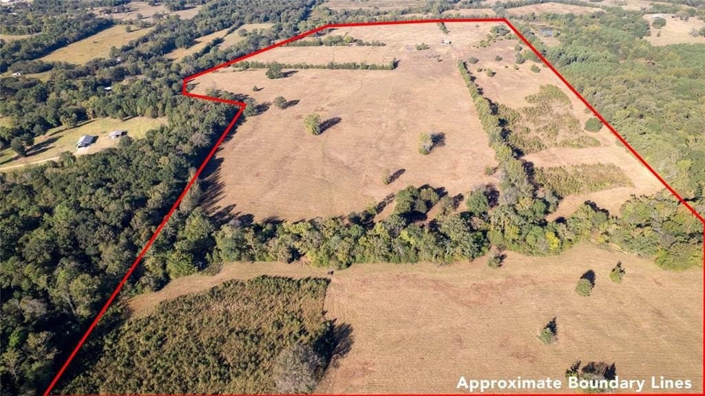 139.98 acres in Titus County - photo 25