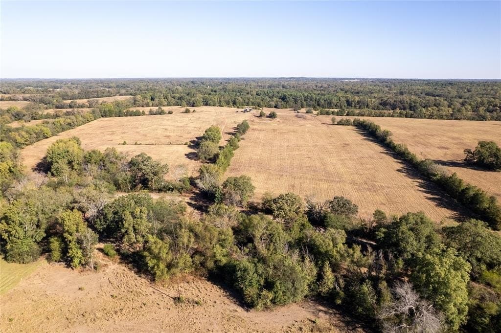 139.98 acres in Titus County - photo 17