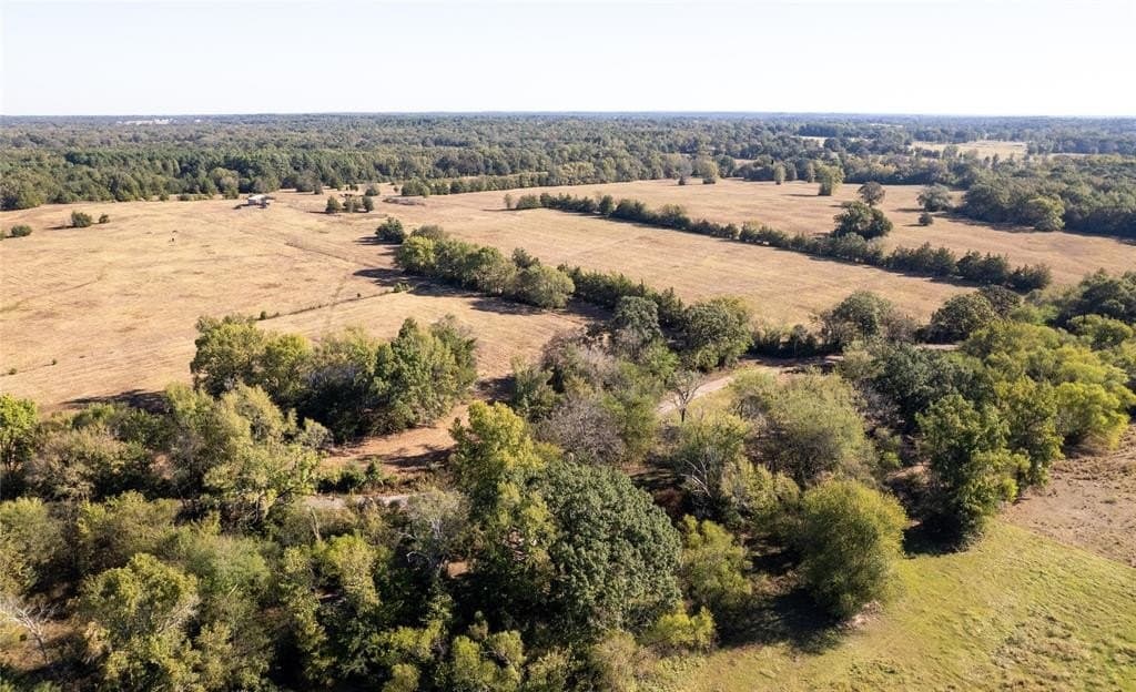 139.98 acres in Titus County - photo 16