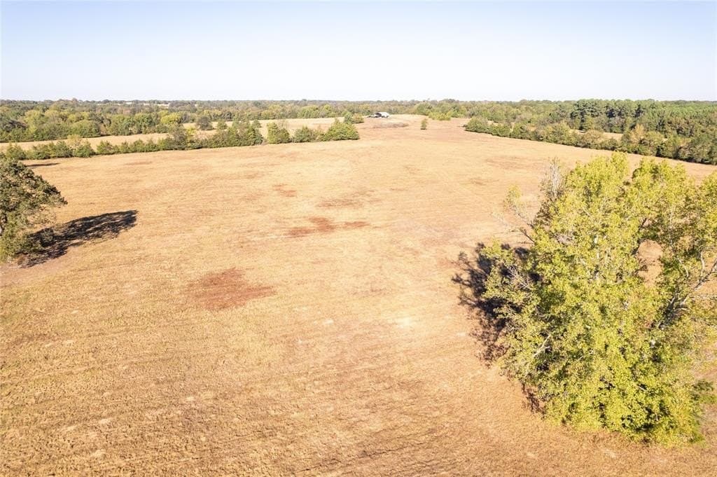 139.98 acres in Titus County - photo 6