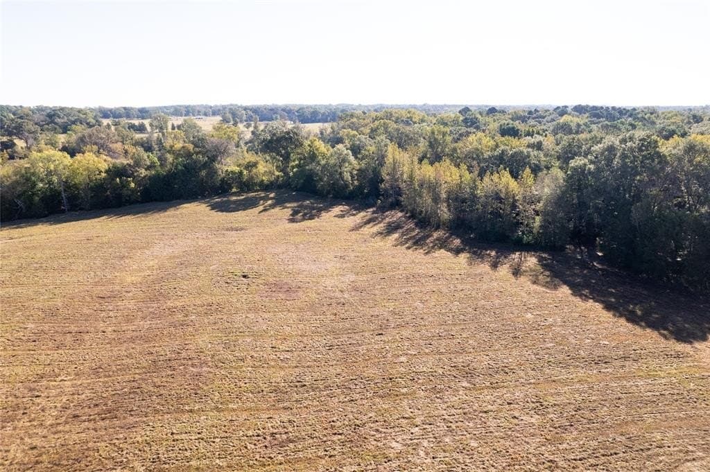 139.98 acres in Titus County - photo 8