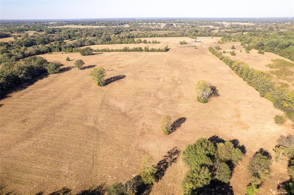 139.98 acres in Titus County - photo 3