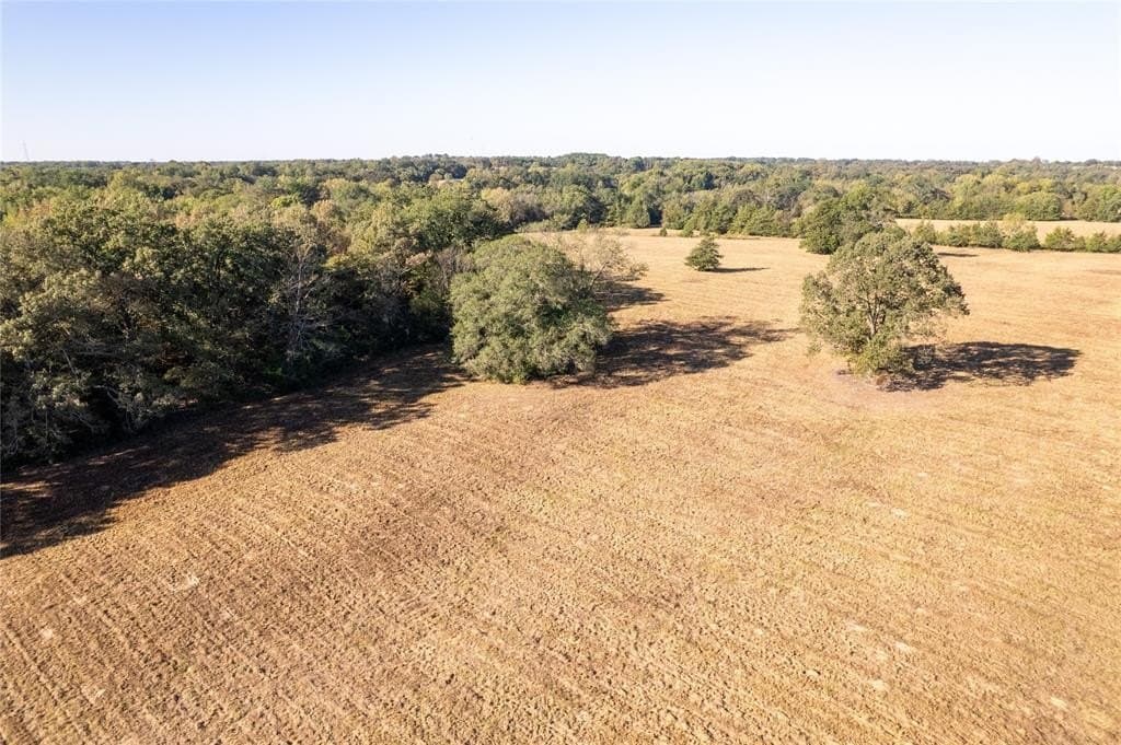 139.98 acres in Titus County - photo 7