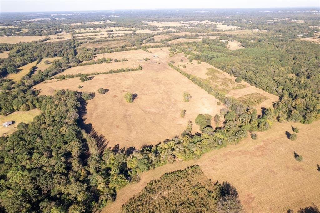 139.98 acres in Titus County - photo 2